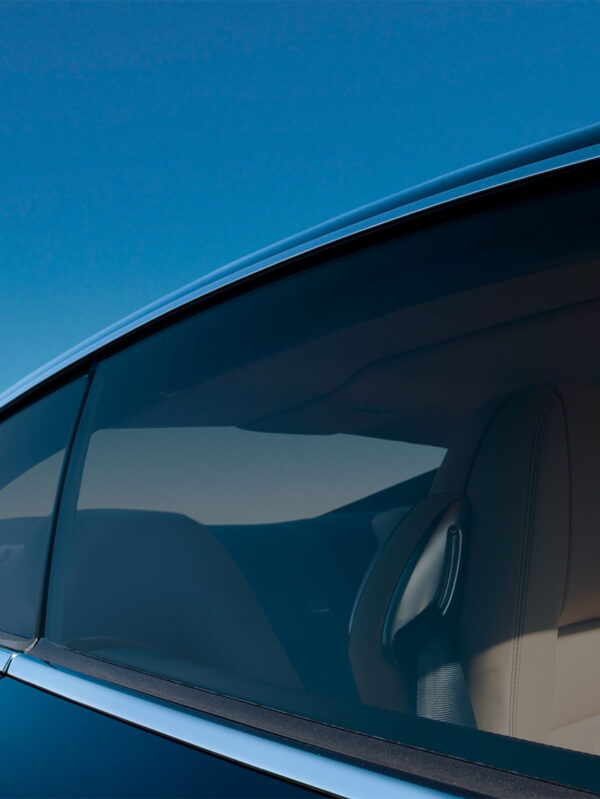 GF Pantera 285C - Tönung schwarz medium