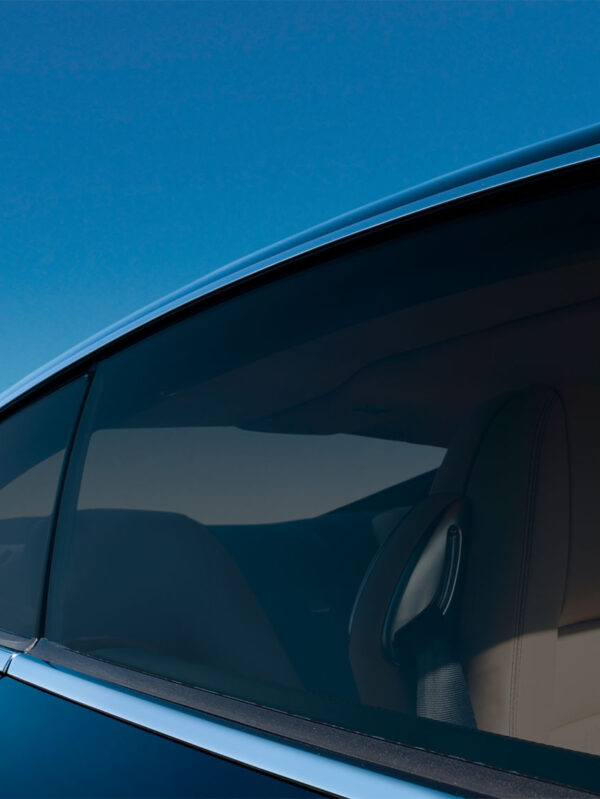 GF Pantera 295C - Tönung dunkel