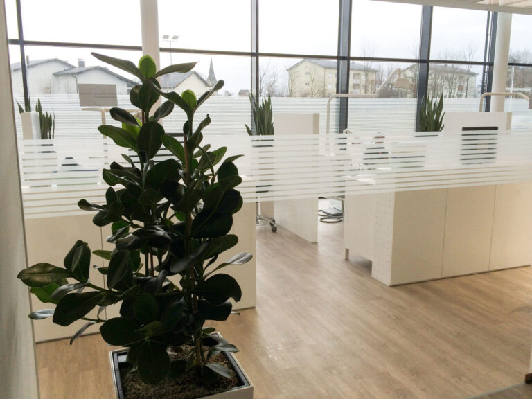 Baudisch Zahnregulierung 1