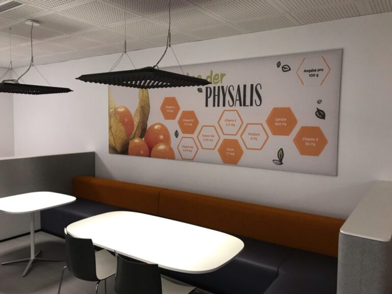 Wandgestaltung : Wandtattoo : Fassadenbeschilderung 4